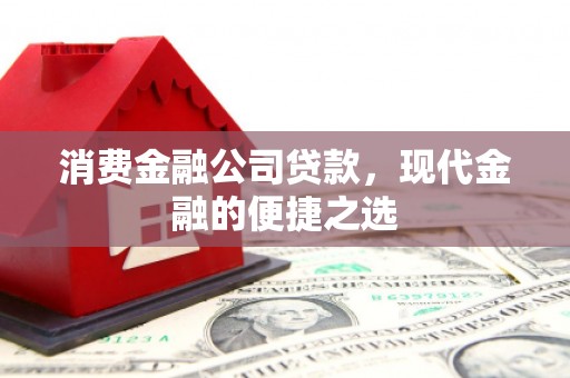 白水消费金融公司贷款，现代金融的便捷之选