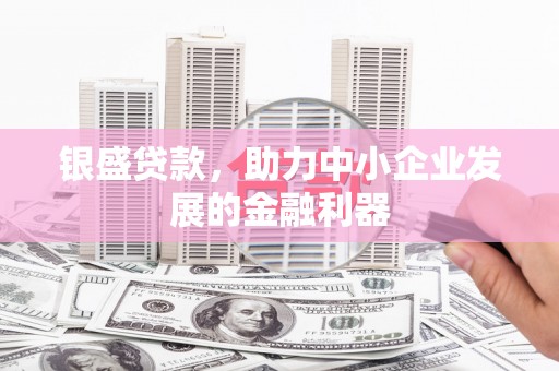 白水银盛贷款，助力中小企业发展的金融利器