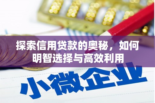 白水探索信用贷款的奥秘，如何明智选择与高效利用