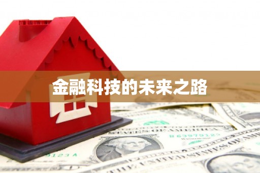 白水金融科技的未来之路