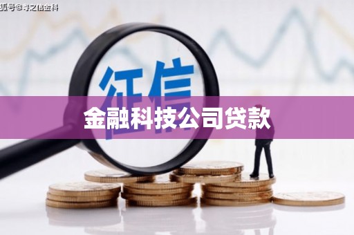 白水金融科技公司贷款