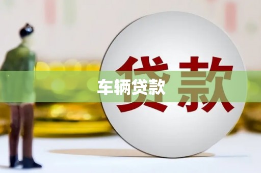 白水车辆贷款