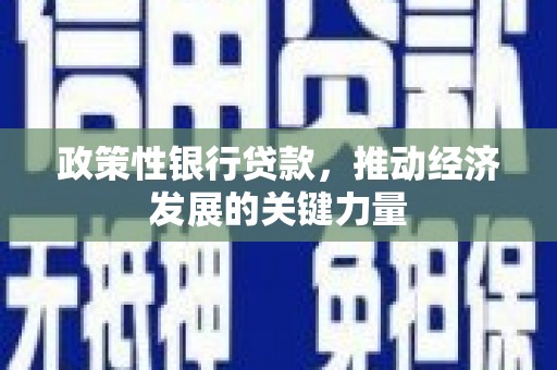 白水政策性银行贷款，推动经济发展的关键力量