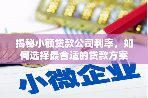 白水揭秘小额贷款公司利率，如何选择最合适的贷款方案