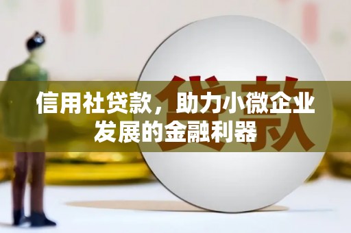 白水信用社贷款，助力小微企业发展的金融利器