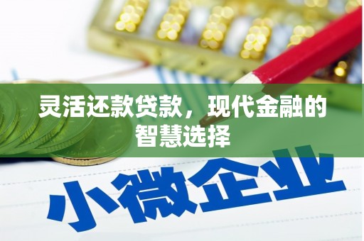 白水灵活还款贷款，现代金融的智慧选择