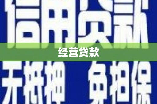白水经营贷款