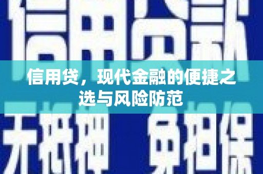 白水信用贷，现代金融的便捷之选与风险防范