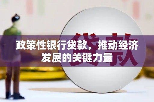 白水政策性银行贷款，推动经济发展的关键力量
