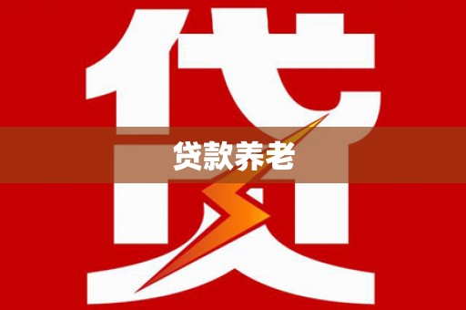 白水贷款养老