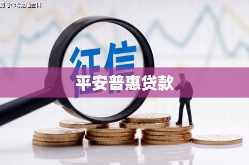 白水平安普惠贷款