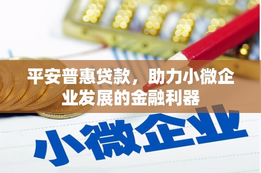 白水平安普惠贷款，助力小微企业发展的金融利器