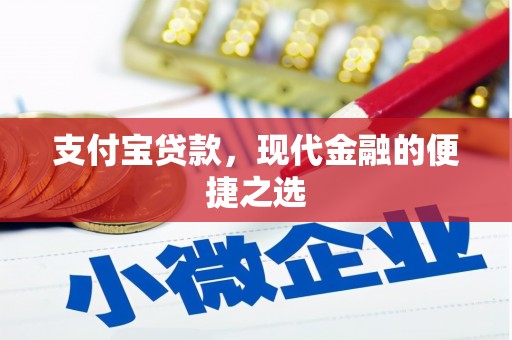 白水支付宝贷款，现代金融的便捷之选