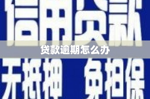 白水贷款逾期怎么办