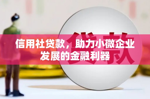 白水信用社贷款，助力小微企业发展的金融利器