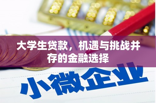 白水大学生贷款，机遇与挑战并存的金融选择