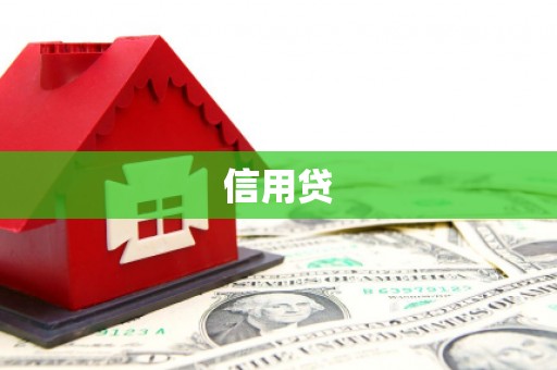 白水信用贷