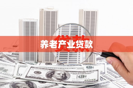 白水养老产业贷款