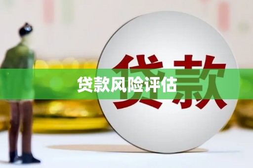 白水贷款风险评估