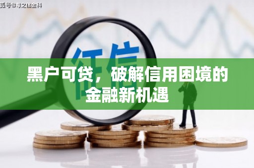 白水黑户可贷，破解信用困境的金融新机遇
