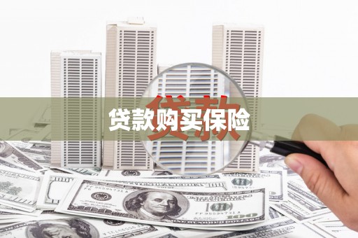 白水贷款购买保险
