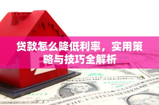 白水贷款怎么降低利率，实用策略与技巧全解析