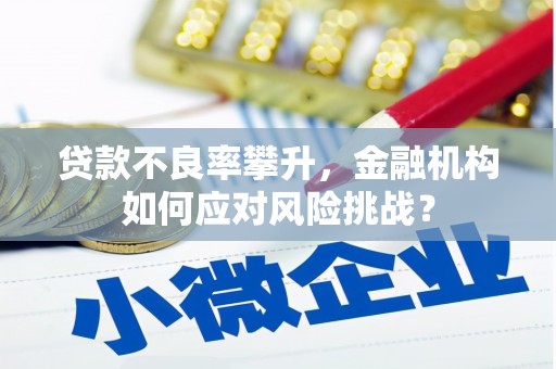 白水贷款不良率攀升，金融机构如何应对风险挑战？