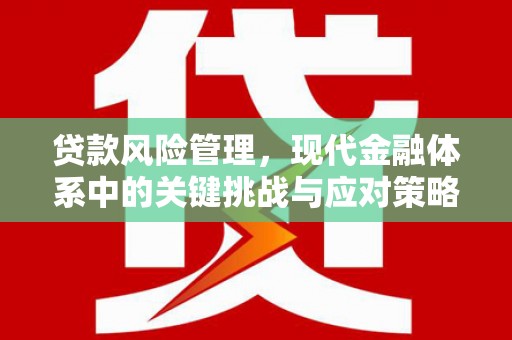 白水贷款风险管理，现代金融体系中的关键挑战与应对策略