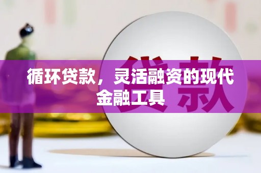 白水循环贷款，灵活融资的现代金融工具