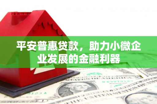 白水平安普惠贷款，助力小微企业发展的金融利器