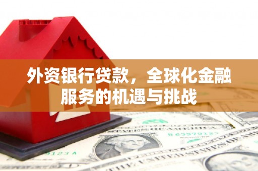 白水外资银行贷款，全球化金融服务的机遇与挑战