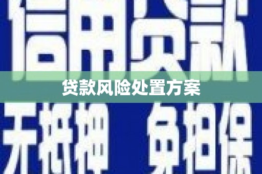白水贷款风险处置方案
