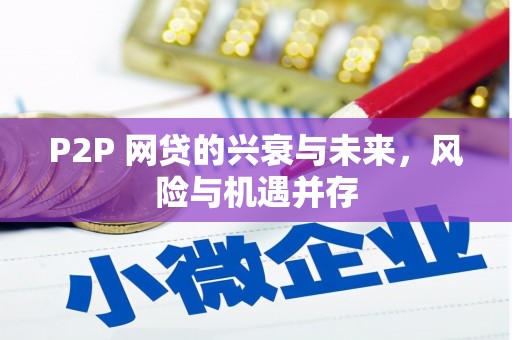 白水P2P 网贷的兴衰与未来，风险与机遇并存