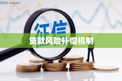 白水贷款风险补偿机制