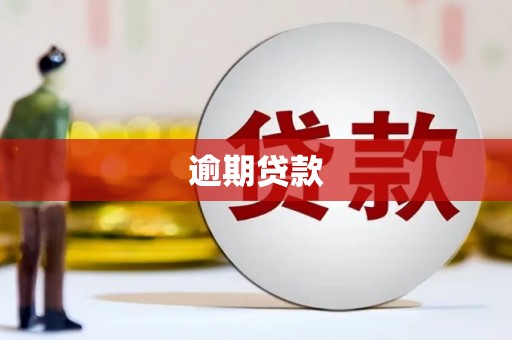 白水逾期贷款