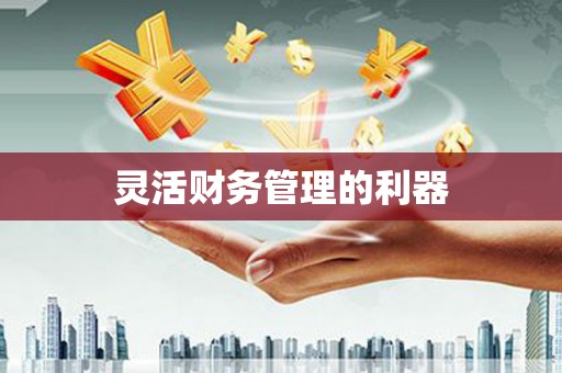 白水灵活财务管理的利器
