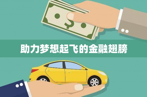 白水助力梦想起飞的金融翅膀