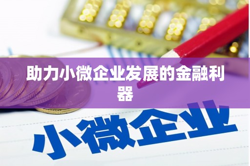 白水助力小微企业发展的金融利器