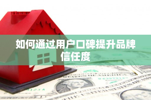 白水如何通过用户口碑提升品牌信任度