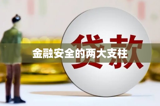 白水金融安全的两大支柱
