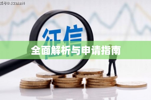 白水全面解析与申请指南