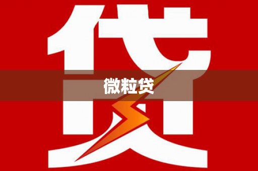 白水微粒贷