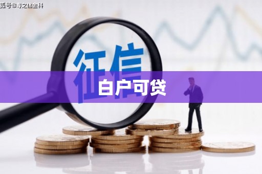 白水白户可贷