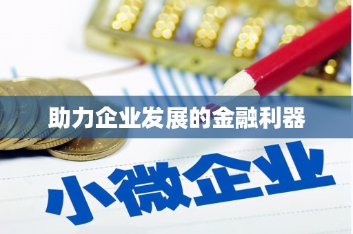 白水助力企业发展的金融利器