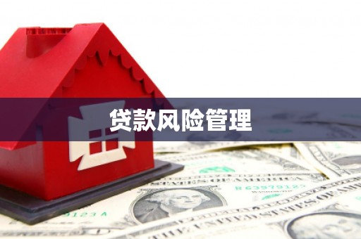 白水贷款风险管理